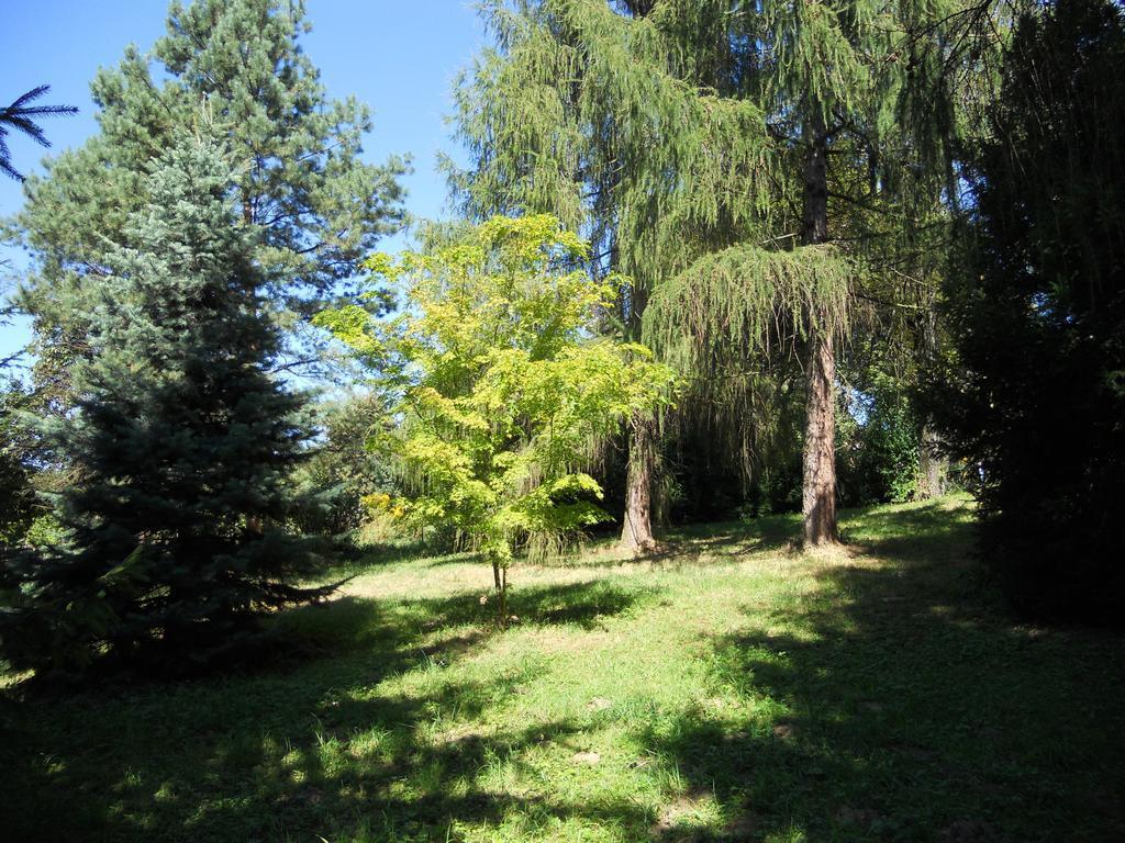 Dwor W Boleniu Villa Ruang foto